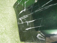 DSCN8591.jpg