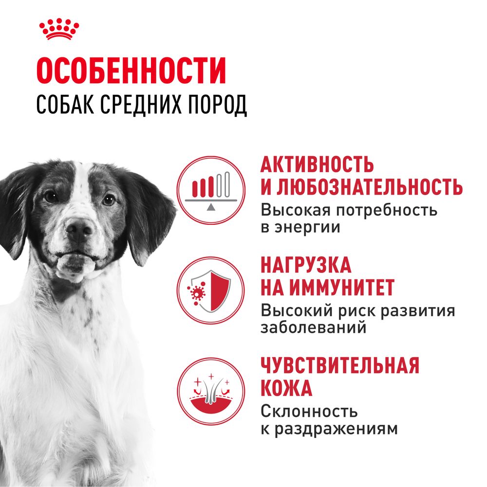 Сухой корм Royal Canin Medium Adult для взрослых собак средних размеров от 12 месяцев до 7 лет