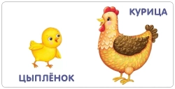 Малыши и мамы. Моя самая первая книжка