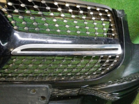 DSCN5481.jpg