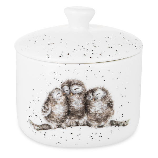 Банка для хранения с крышкой 9.5х10см Royal Worcester Забавная фауна Совы