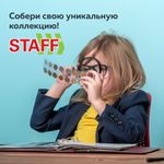 Листы-вкладыши для альбома "OPTIMA" на 2 боны (купюры), КОМПЛЕКТ 10 шт., 200х250 мм, ПВХ, STAFF, 238081