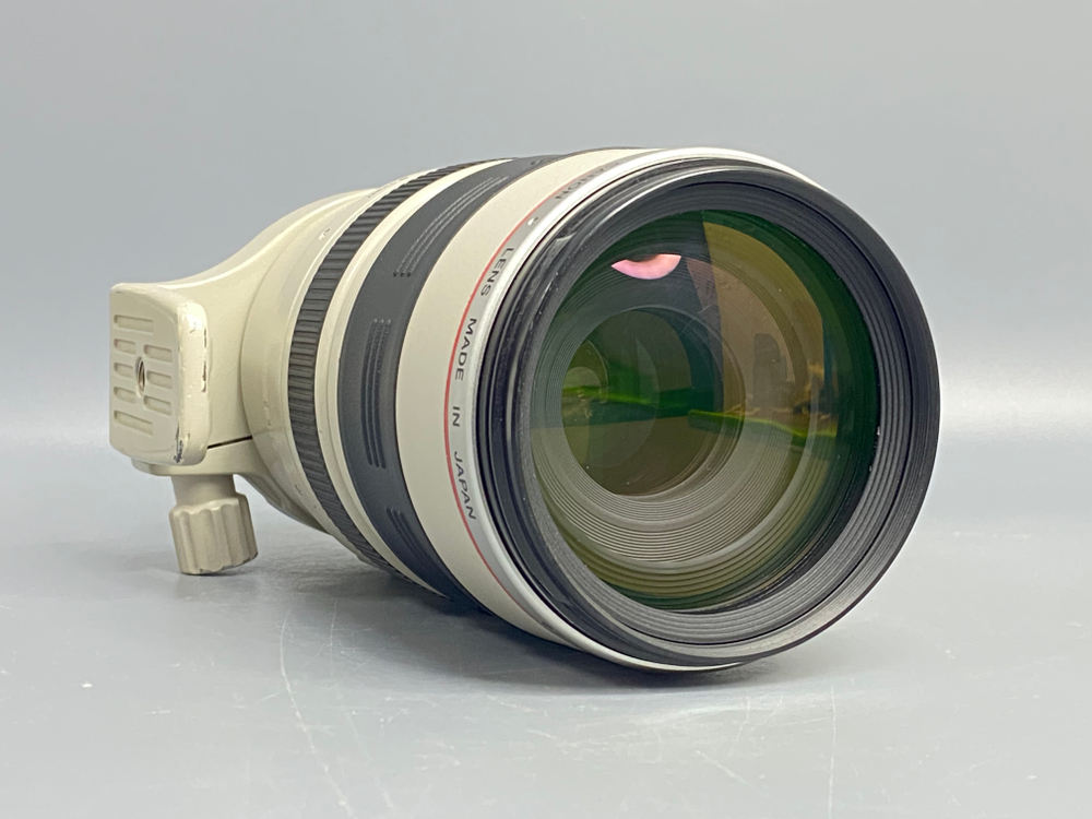 Canon EF 100-400mm 4.5-5.6L IS USM