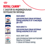 Royal Canin Maxi Ageing 8+ Макси Эйджинг Корм сухой для стареющих собак крупных пород старше 8 лет 3кг