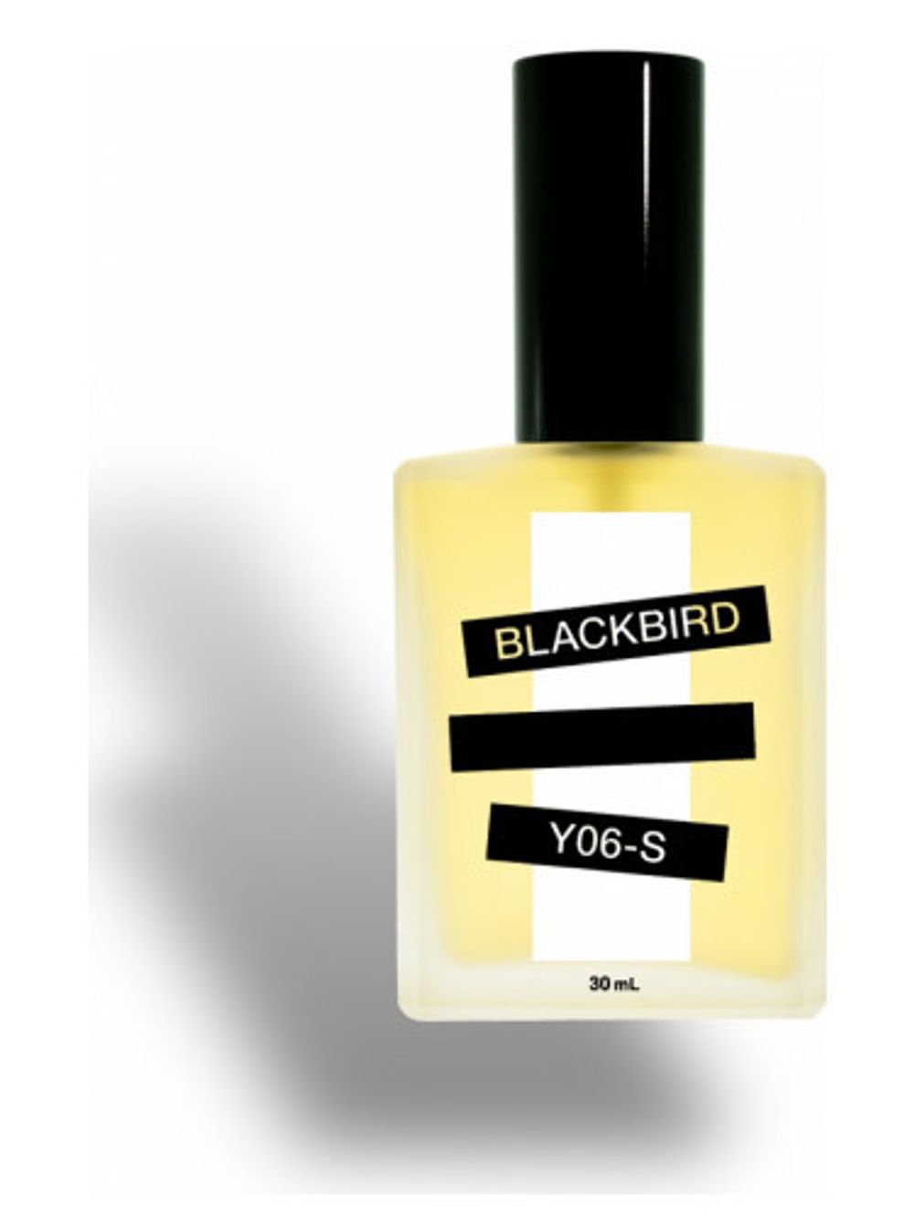 Blackbird Y06-S