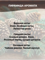 Отдушка Еловые шишки и хвоя 50 гр