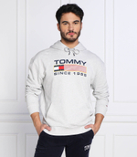 Худи Tommy Jeans - серый(DM0DM15009)
