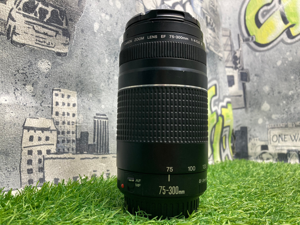 Canon EF 75-300mm 4-5.6 III