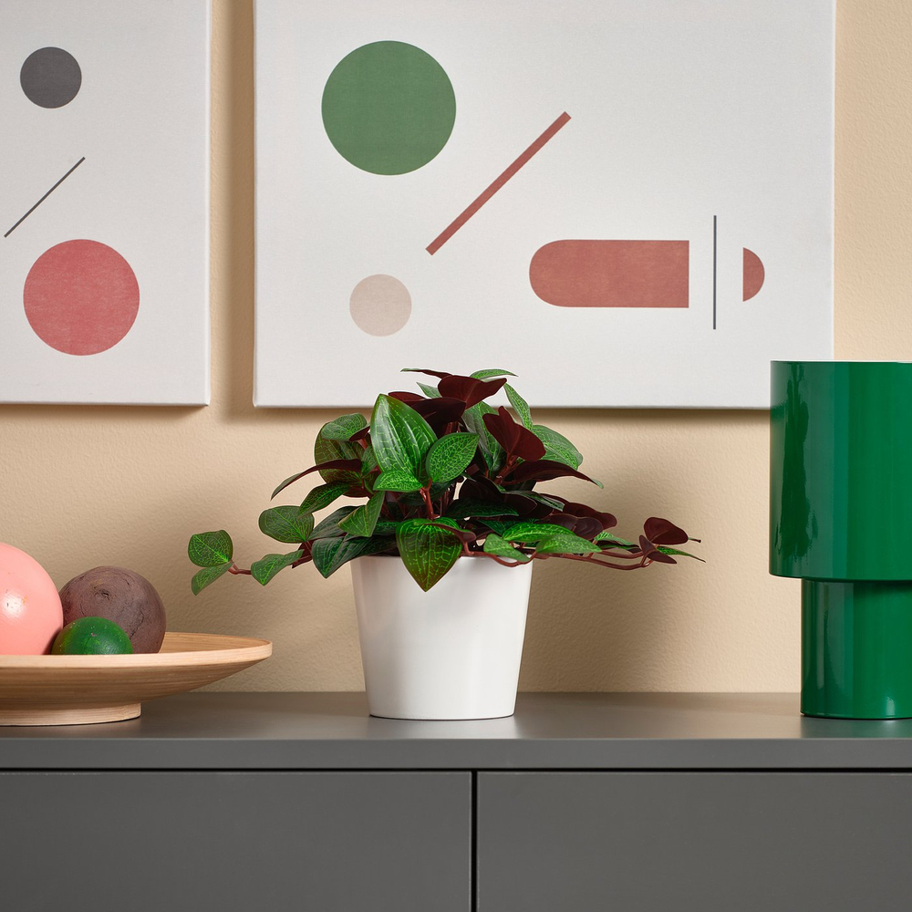 IKEA FEJKA  (ИКЕА ФЕЙКА)  -  Искусственное растение в горшке - для дома/улицы Людизия 9 см
