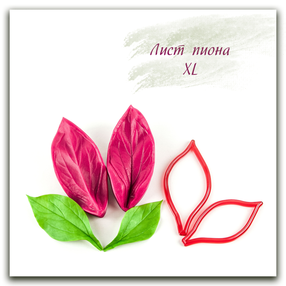 Лист пиона XL