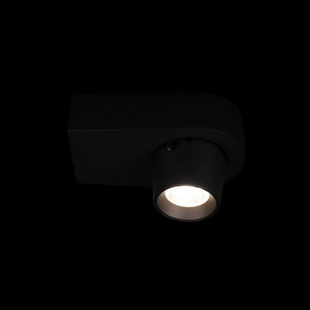 Накладной светильник Loft it Quiet 10320 Black