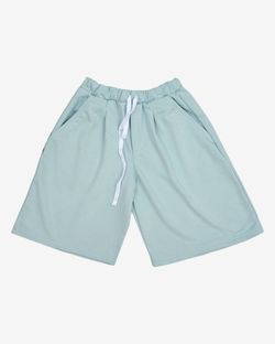 Шорты Baggy Logo Illusion Blue