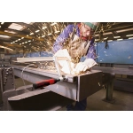 Цельнометаллическая струбцина BESSEY GZ12