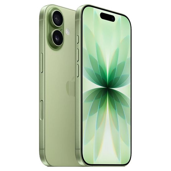 Apple iPhone 17 eSIM 512 Гб, шалфей-зеленый