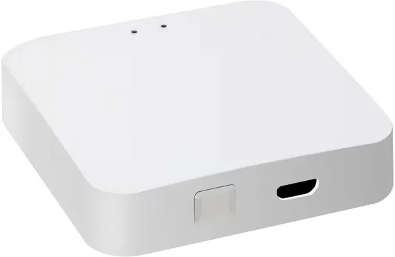 Шлюз Vision48/22 ZGB 1 iLedex