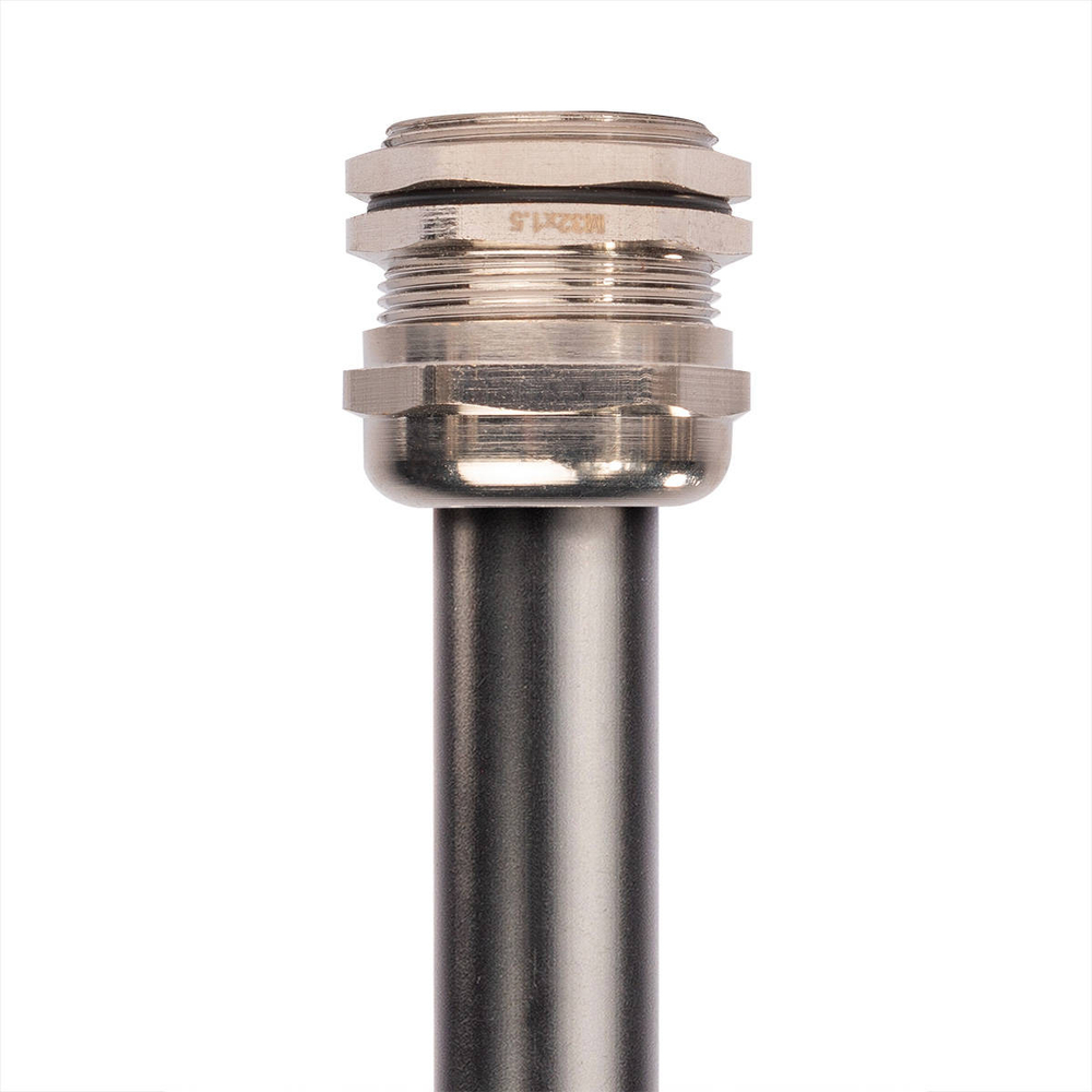 mgm_use_1_-53920833.jpg