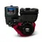 Двигатель "BRIGGS &amp; STRATTON" XR1450 (10 л.с.)