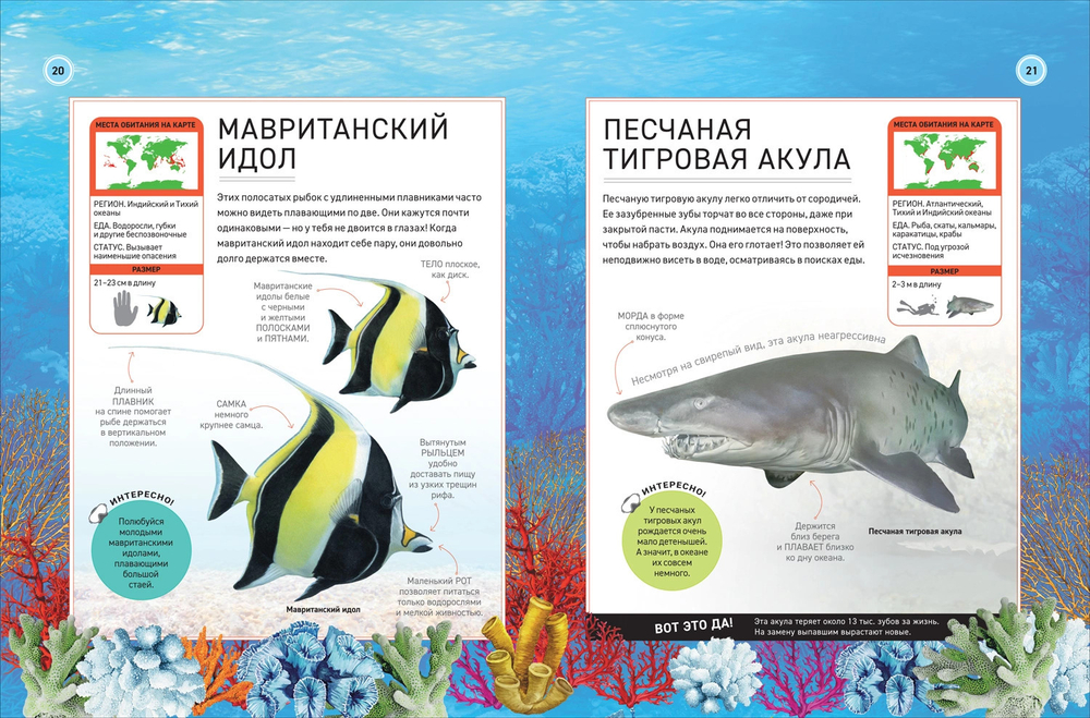 Подводный мир. Полная энциклопедия