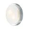 Настенно-потолочный светильник Holger 2746/2C Odeon Light