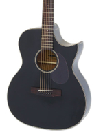 ARIA ARIA-101CE Matte Black