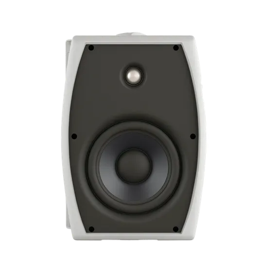 CVGAUDIO ODF516TW настенная акустическая система