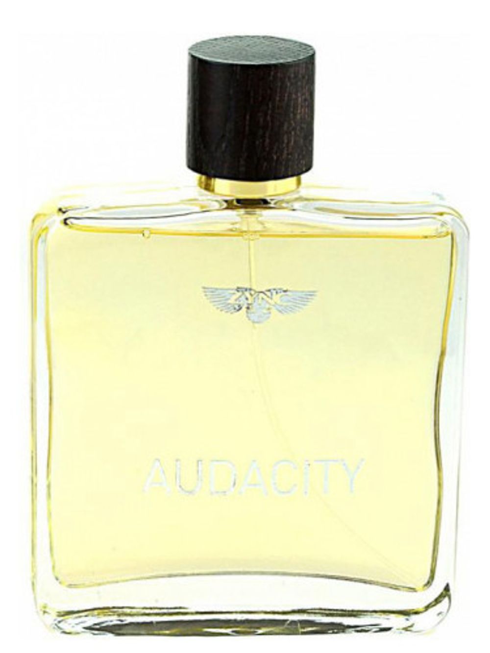 Zync Audacity