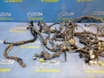 Проводка под капотом TOYOTA LAND CRUISER 1999
