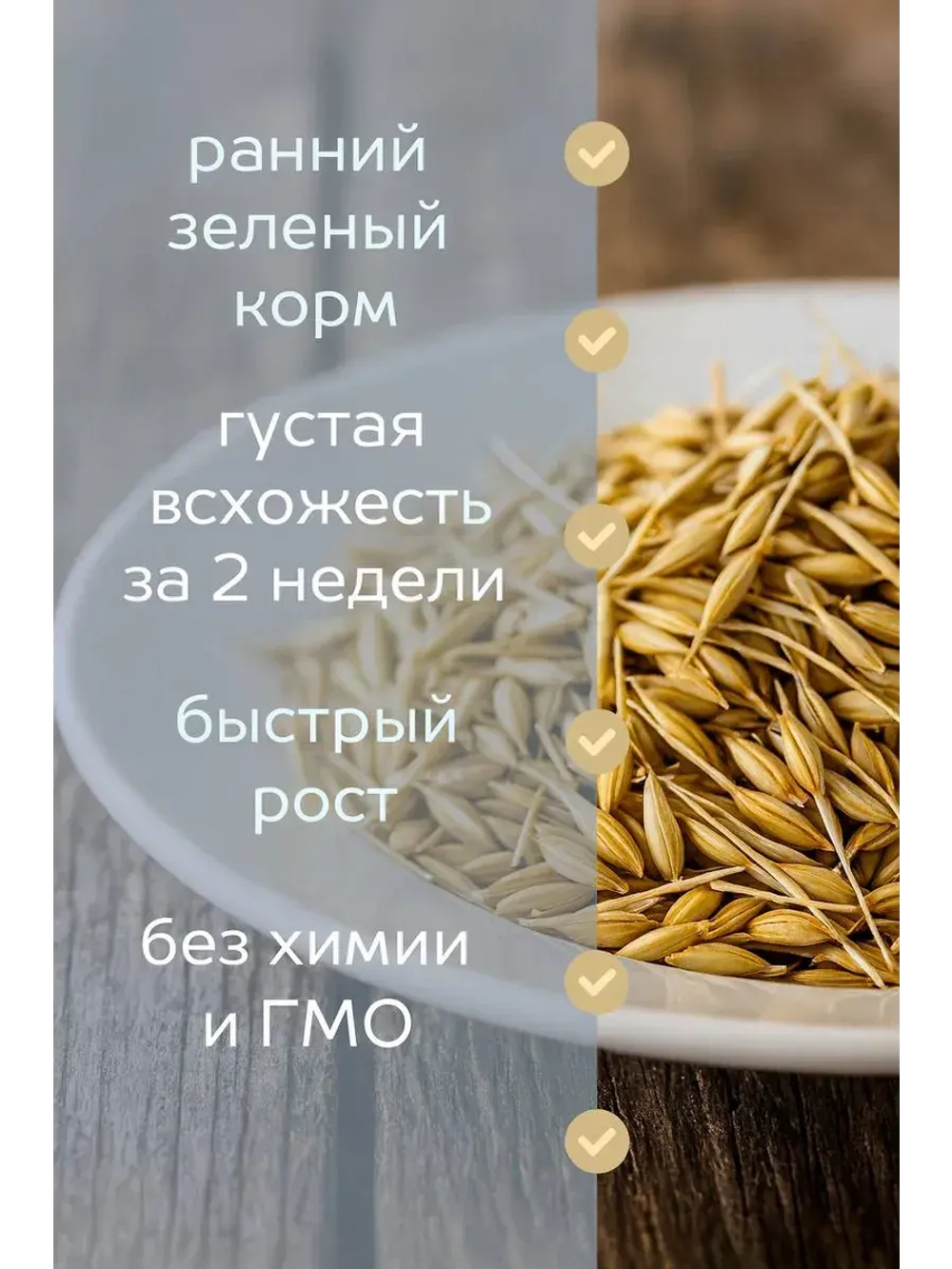 Сидерат Рожь 1 кг