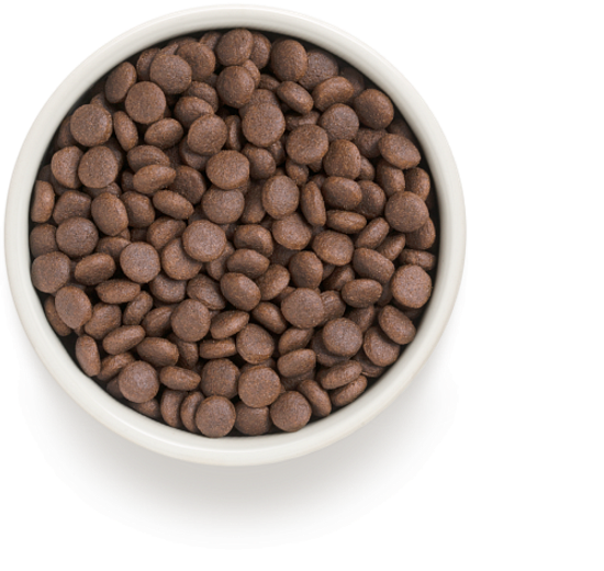 Grandorf Veterinary Diet Dog Gastrointestinal сухой диетический корм для собак при расстройствах пищеварения 3 кг