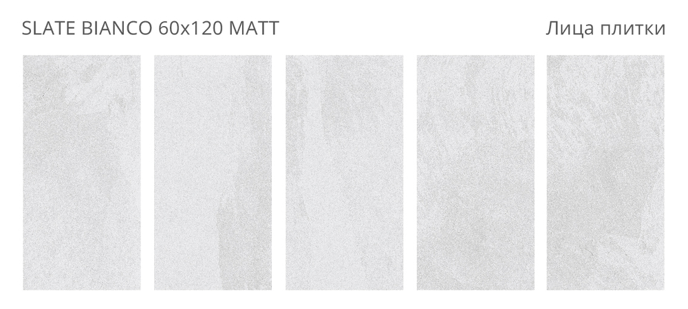 SLATE BIANCO 60x120 MATT