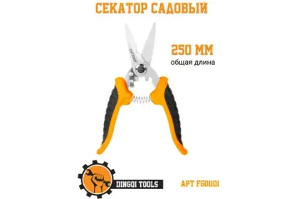 СЕКАТОРЫ