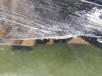 DSCN3450.jpg