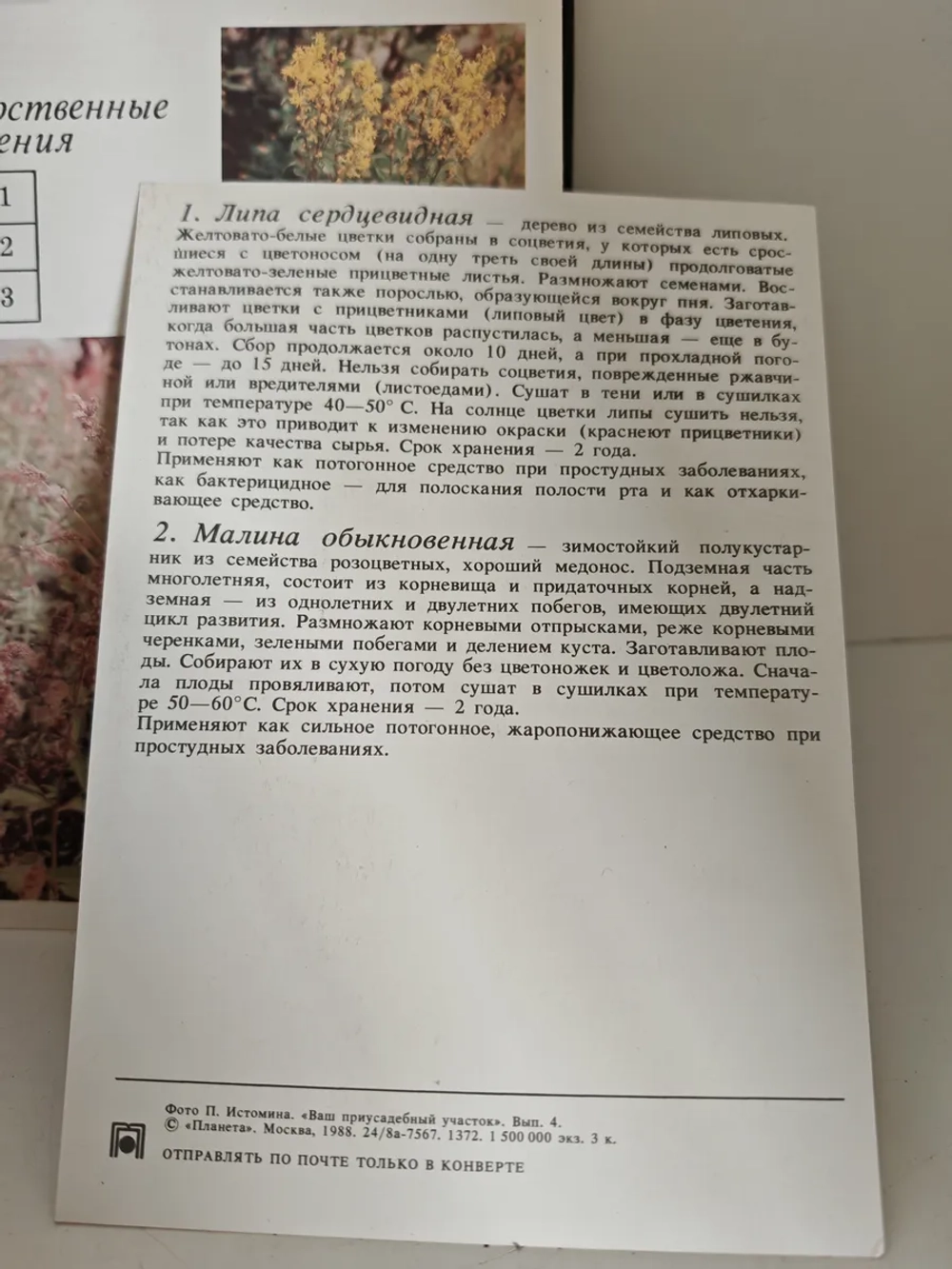 Ваш приусадебный участок. Лекарственные растения