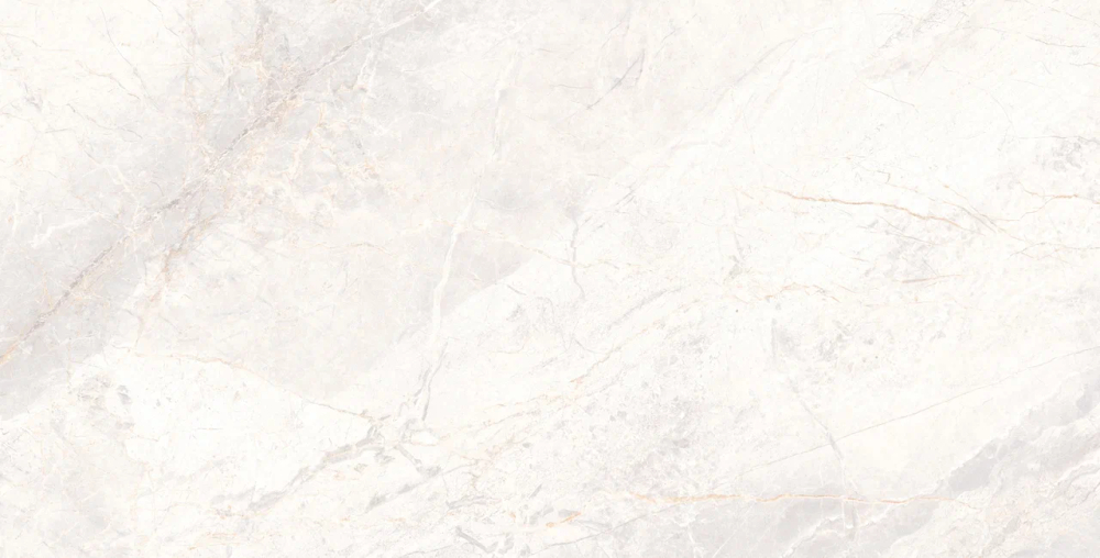 Керамогранит 60*120 MANAVGAT BONE POLISHED TECHNICAL PORCELAIN