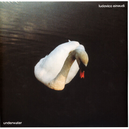 Ludovico Einaudi Underwater