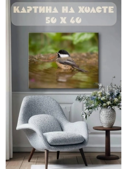Картина на стену 40 X 50 Птица