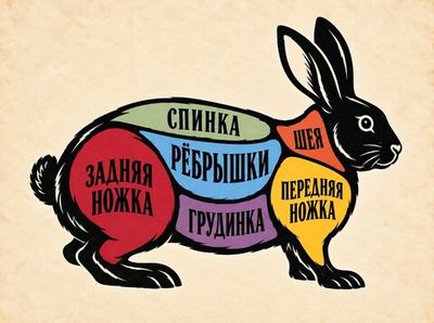 Кролик