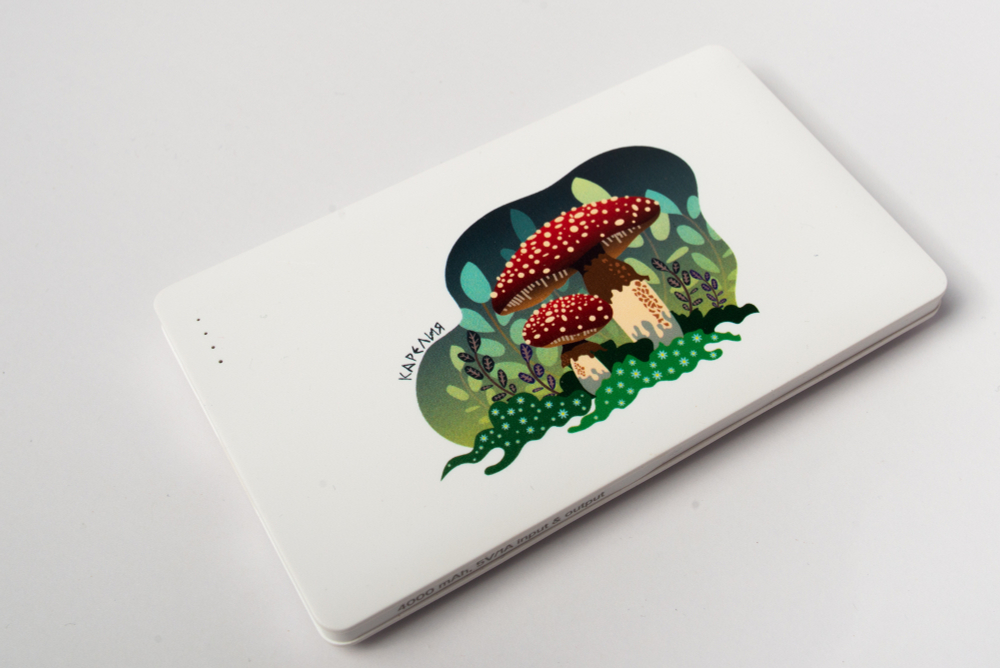 Внешний аккумулятор (powerbank) «Карелия», в ассортименте