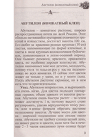 Любимые домашние цветы. Практические советы