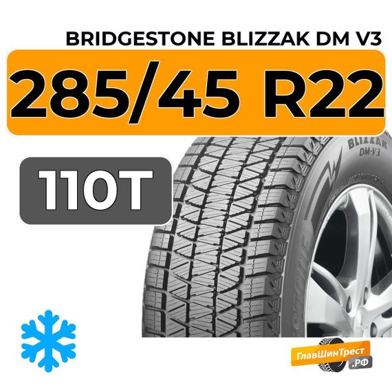 Bridgestone Blizzak DM V3 285/45 R22 110T
