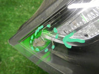 DSCN7405.JPG