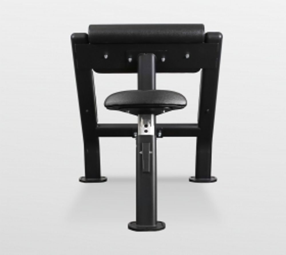 Скамья Скотта Bronze Gym BR-1007