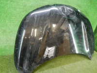 DSCN4253.jpg