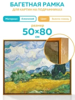 Металлическая багетная рама 80х50 см