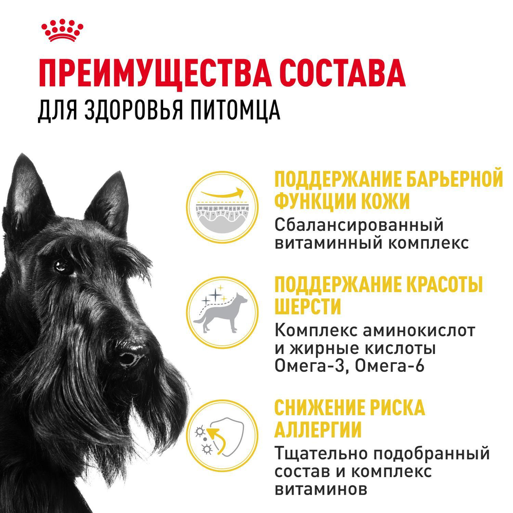 Royal Canin Mini Dermacomfort Мини Дермакомфорт Корм сухой для взрослых собак мелких пород для профилактики раздражения и зуда кожи 3кг