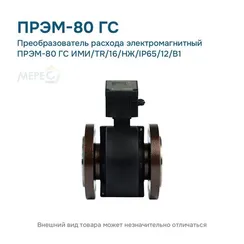 Преобразователь расхода электромагнитный ПРЭМ-80 ГС ИМИ/TR/16/НЖ/IP65/12/B1