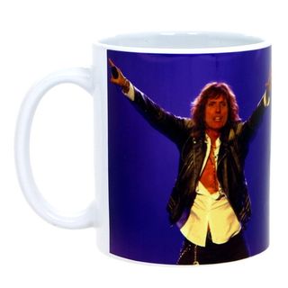 Кружка Whitesnake Good to Be Bad (664)