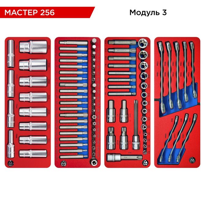 МАСТАК (52-05256R) Набор инструментов 256 предметов, "МАСТЕР 256", в красной тележке