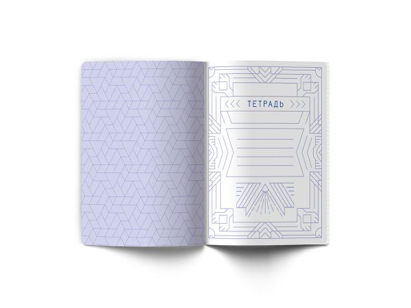 Тетрадь со справочным материалом Линия успеха, софт тач ламинация + тиснение фольгой, A5+ 48 л. на скобе 65 г/м², белизна 100%, 10 шт, клетка, 000574 Геометрия, Светоч 48ТПСК5_126_2_1
