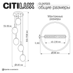 Подвесной светильник Citilux Signature CL247023